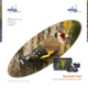 Platform Camera Flyer