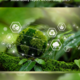 Sustainability Report MEKRA Lang