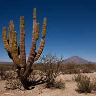 Mekra Lang México S. de R.L. de C.V.